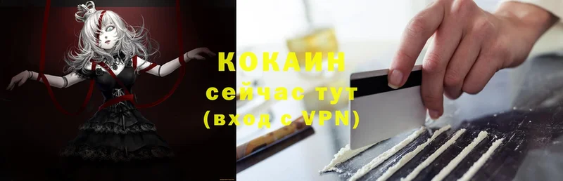 как найти закладки  МЕГА ССЫЛКА  COCAIN Боливия  Дальнереченск 